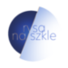 Rysa Na Szkle Logo